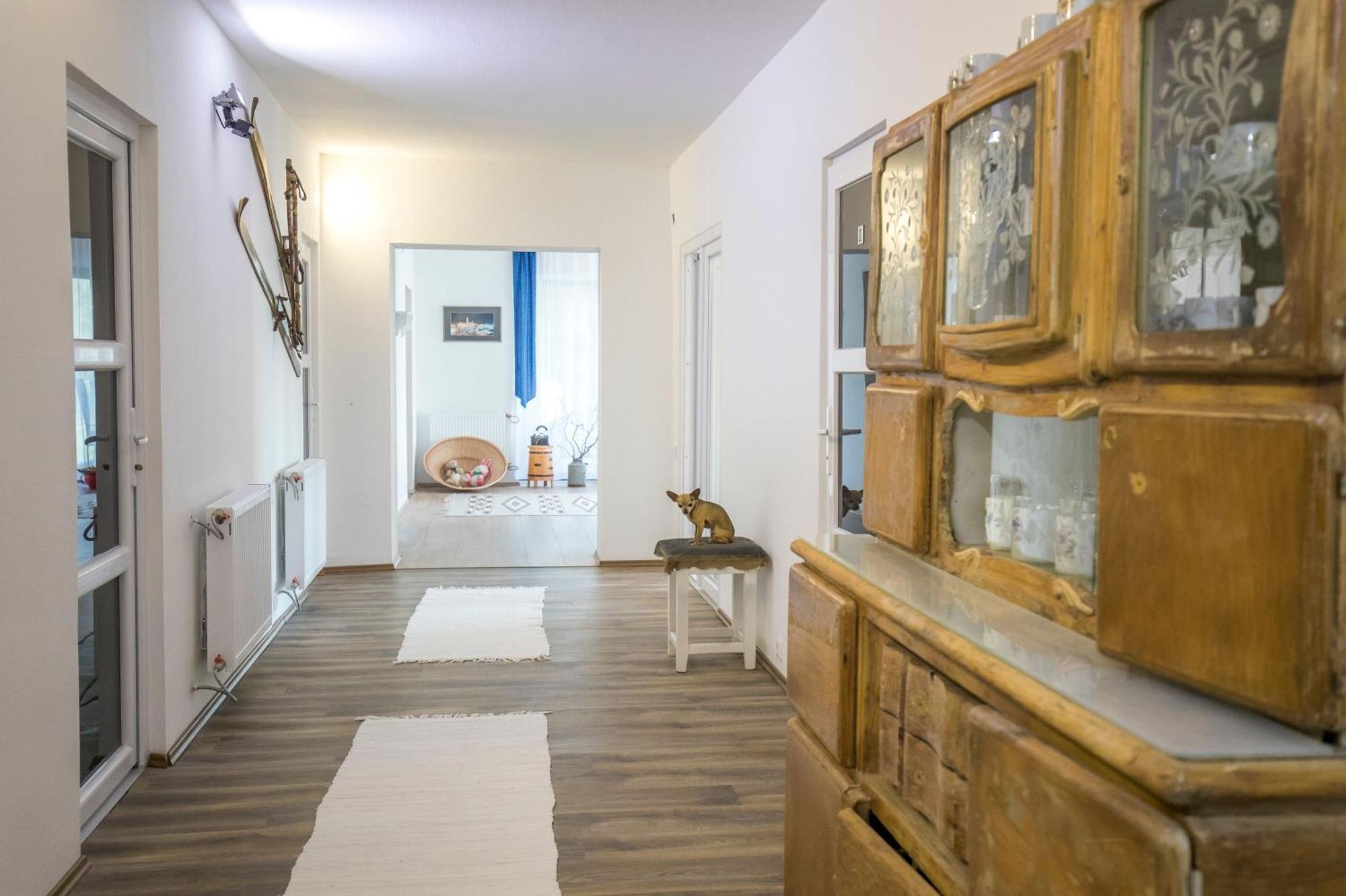 Villa Vamus Vendeg- Es Rendezvenyhaz Vámosszabadi Esterno foto