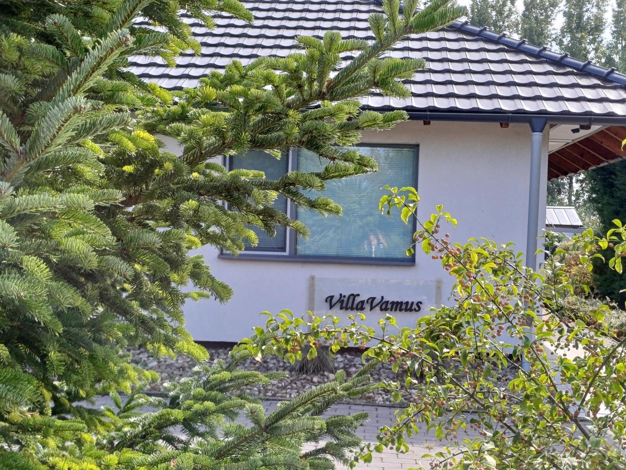 Villa Vamus Vendeg- Es Rendezvenyhaz Vámosszabadi Esterno foto