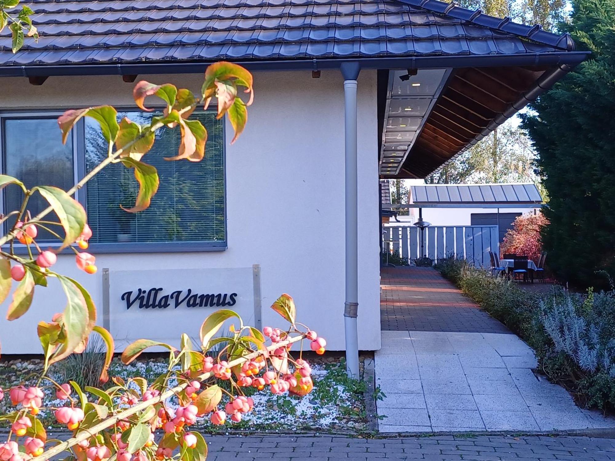 Villa Vamus Vendeg- Es Rendezvenyhaz Vámosszabadi Esterno foto